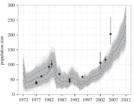 evolution population ours brun