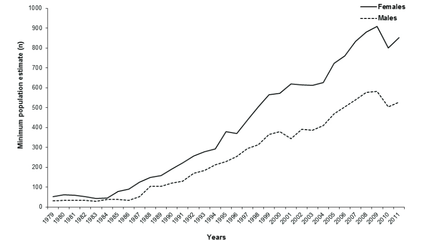 evolution population ours noir