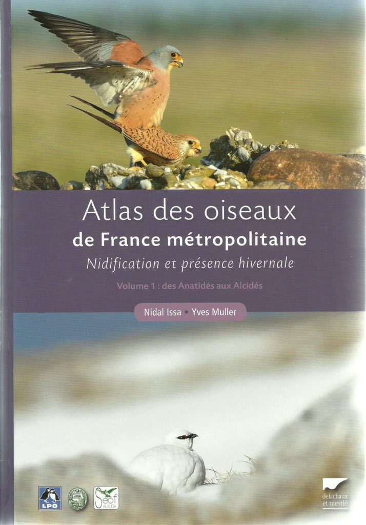 oiseaux en france