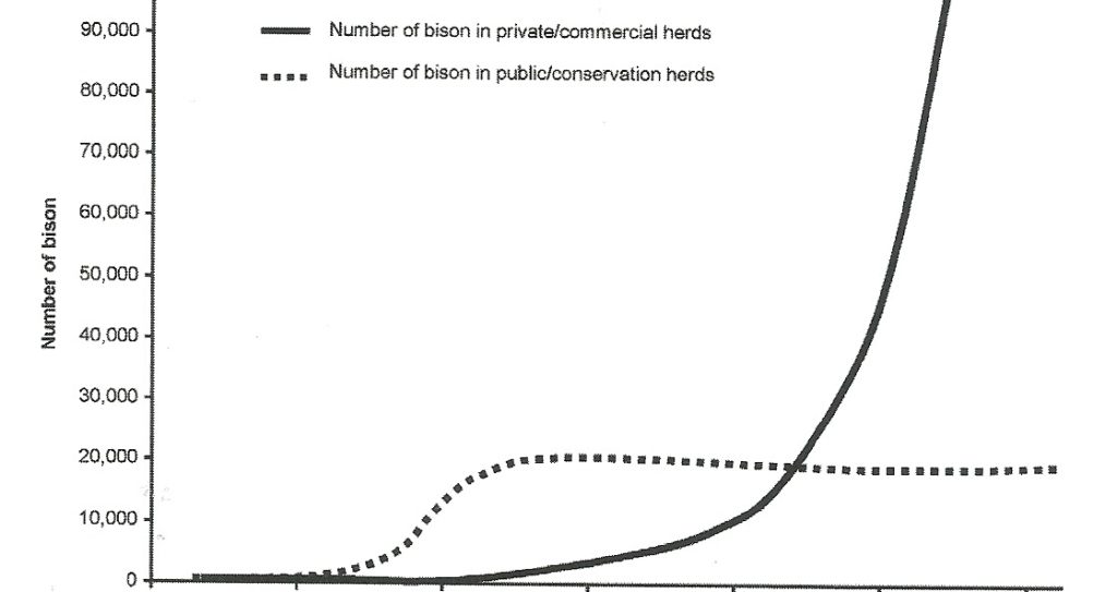 evolution population bison