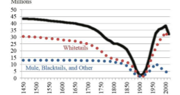 evolution population cerf