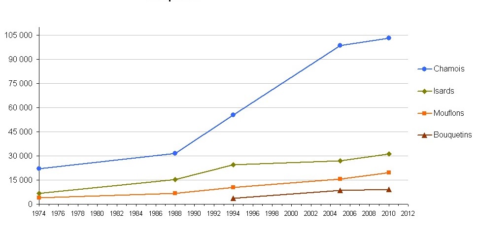 evolution population chamois