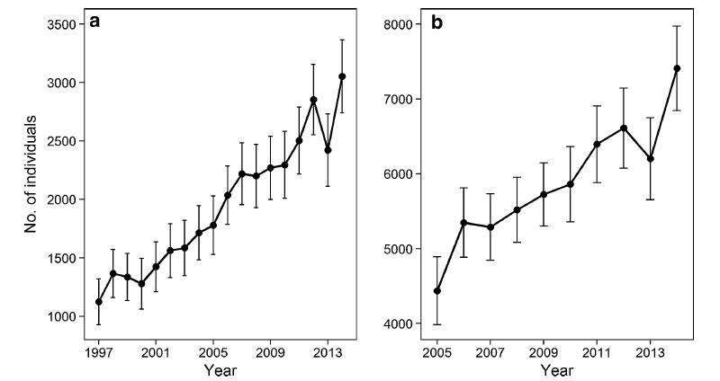 evolution population chauve souris