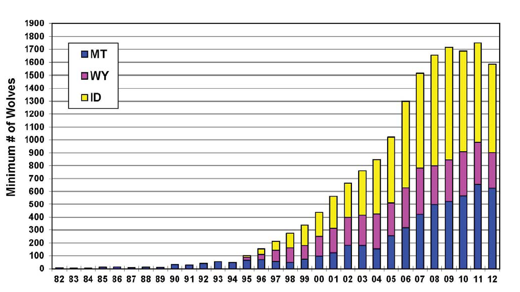 evolution population loup gris