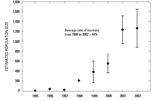 evolution population loutre de mer