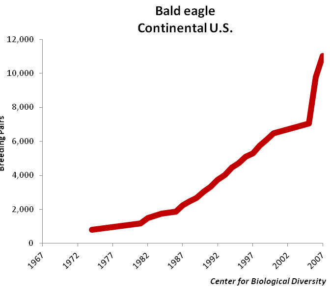 evolution population pyguargue a tete blanche