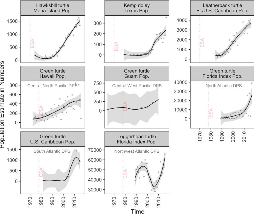 evolution population tortues